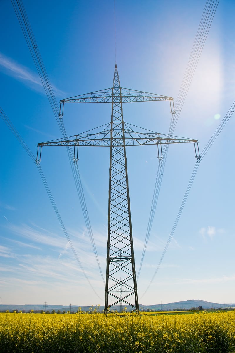 Energy Cultivation