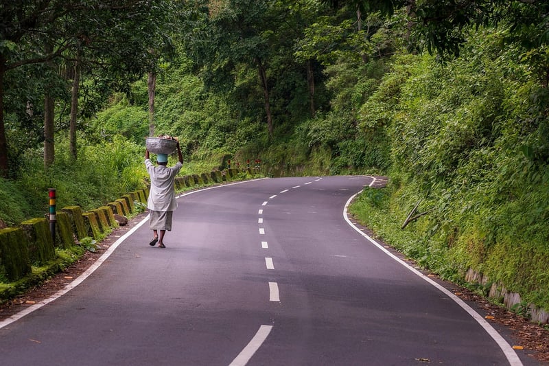 Peaceful Walking